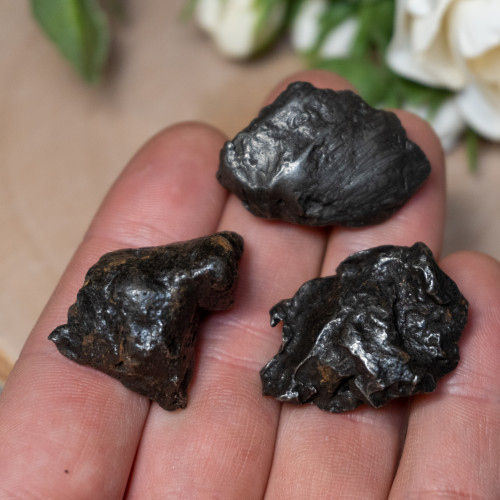 Small Sikhote-Alin Meteorite