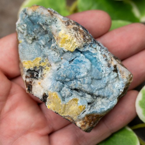 Plumbogummite #8