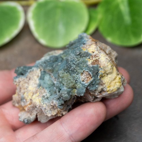 Plumbogummite #7