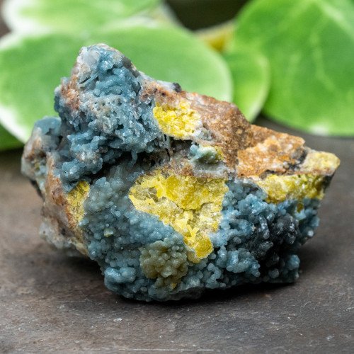 Plumbogummite #4