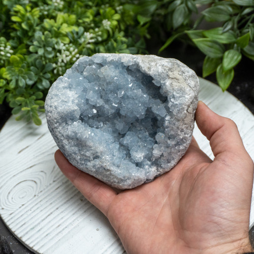 Raw Celestite #4