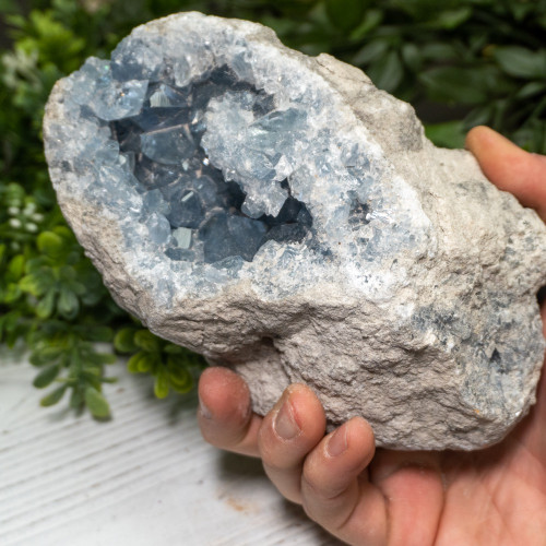 Raw Celestite #1
