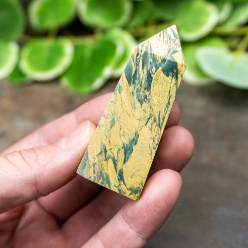 Epidote in Serpentine Tower #3