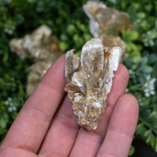 Small Pineapple Muscovite