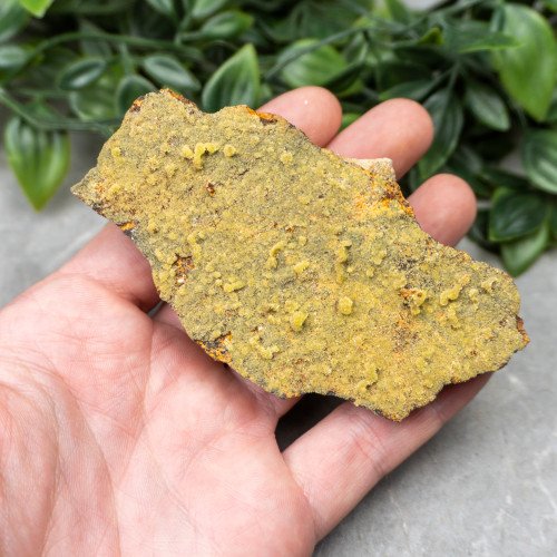 Pyromorphite #10