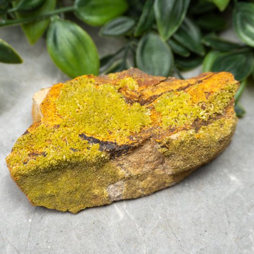 Pyromorphite #8