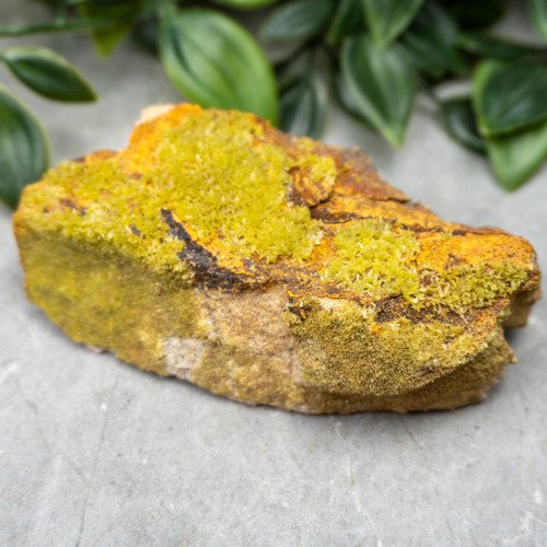 Pyromorphite #8