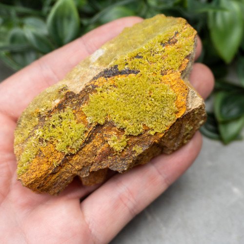 Pyromorphite #8