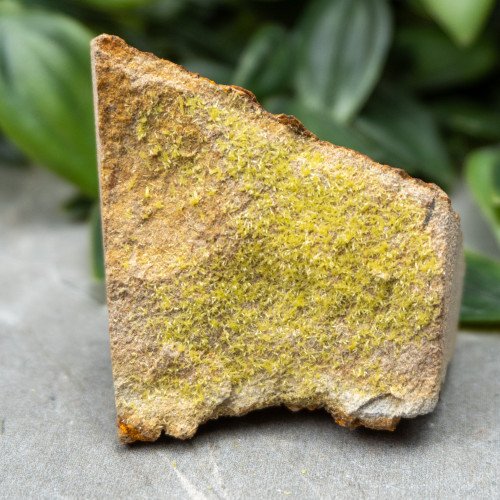 Pyromorphite #6