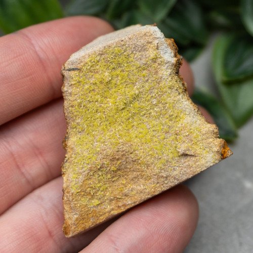 Pyromorphite #6