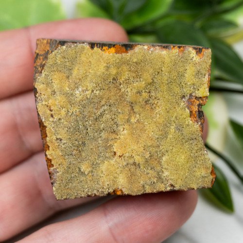 Pyromorphite #5
