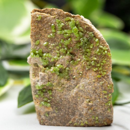 Pyromorphite (Gemmy) #4