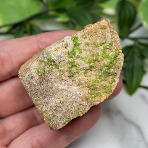 Pyromorphite (Gemmy) #4