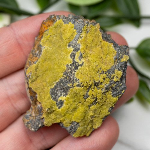 Pyromorphite #3