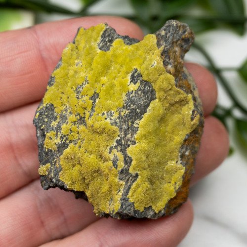 Pyromorphite #3