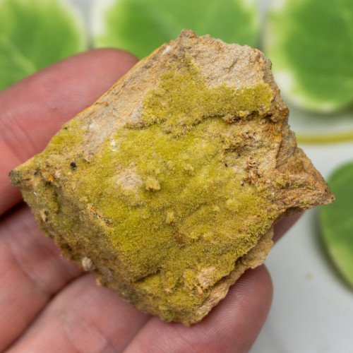 Pyromorphite #1