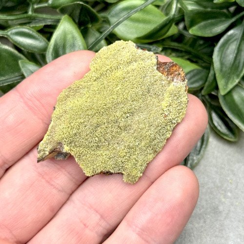 Pyromorphite #2