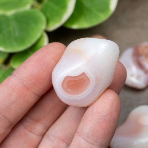 Apricot Agate Tumbled