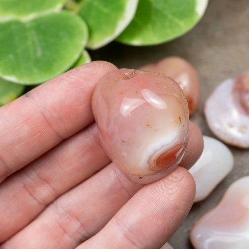 Apricot Agate Tumbled