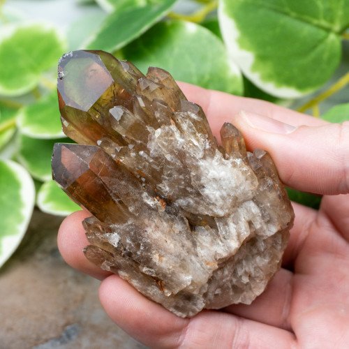 Kundalini Citrine #18