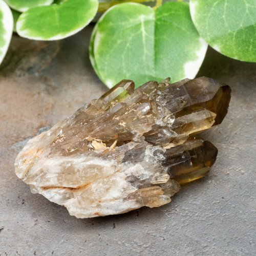 Kundalini Citrine #18