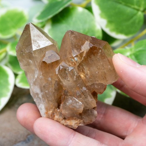 Kundalini Citrine #17
