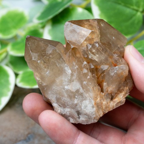 Kundalini Citrine #17