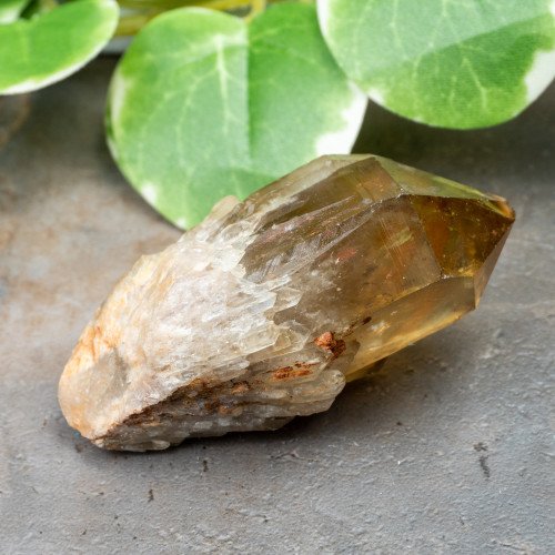 Kundalini Citrine #15