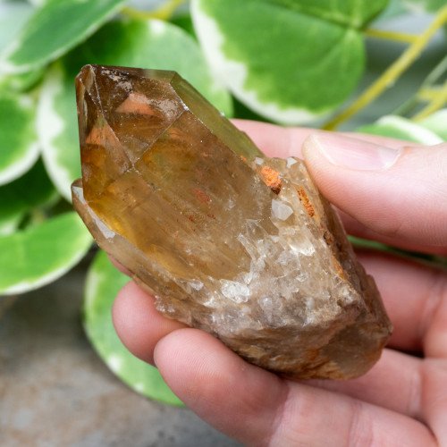Kundalini Citrine #15