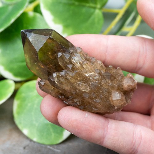 Kundalini Citrine #14