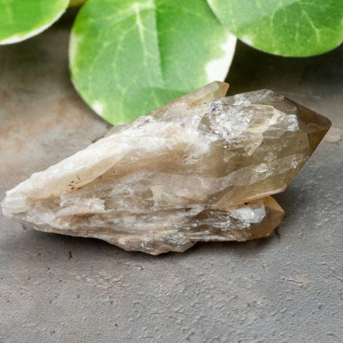 Kundalini Citrine #11