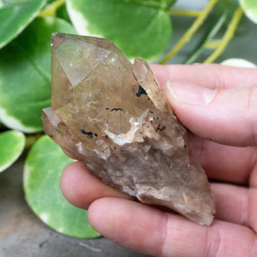 Kundalini Citrine #11