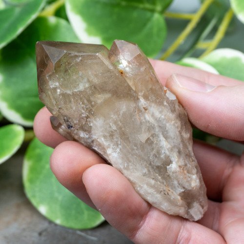 Kundalini Citrine #11