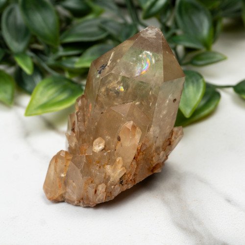 Kundalini Citrine #6