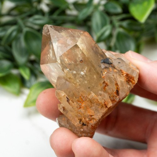 Kundalini Citrine #6