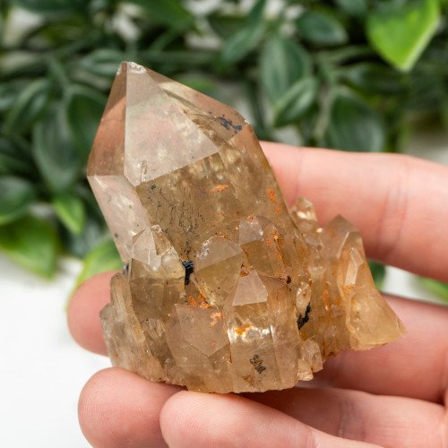 Kundalini Citrine #6