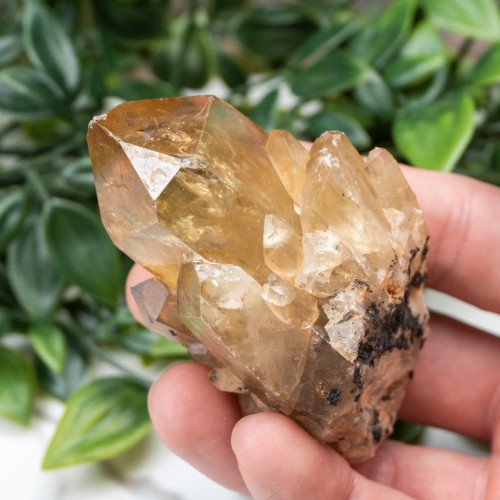 Kundalini Citrine #4