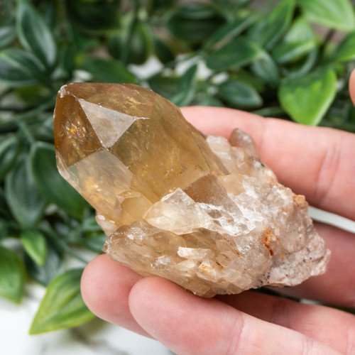 Kundalini Citrine #4