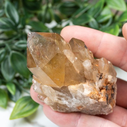 Kundalini Citrine #4
