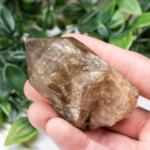 Kundalini Citrine #3