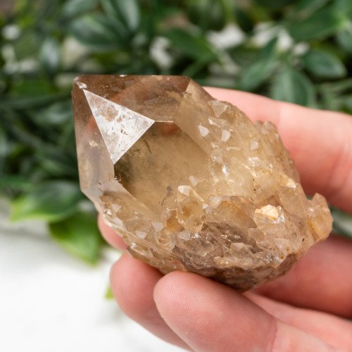 Kundalini Citrine #2