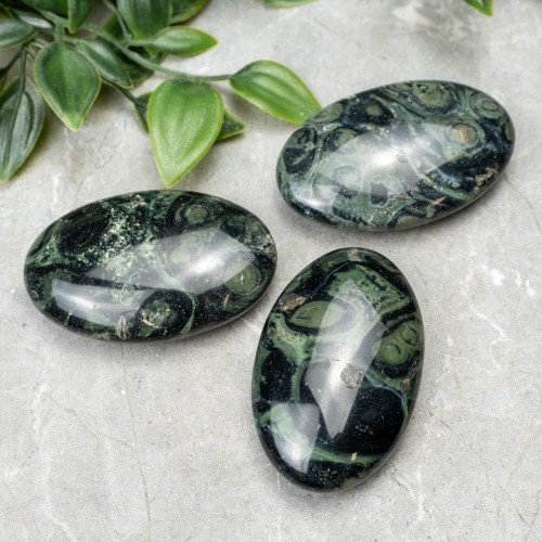 Kambaba Jasper Palmstone