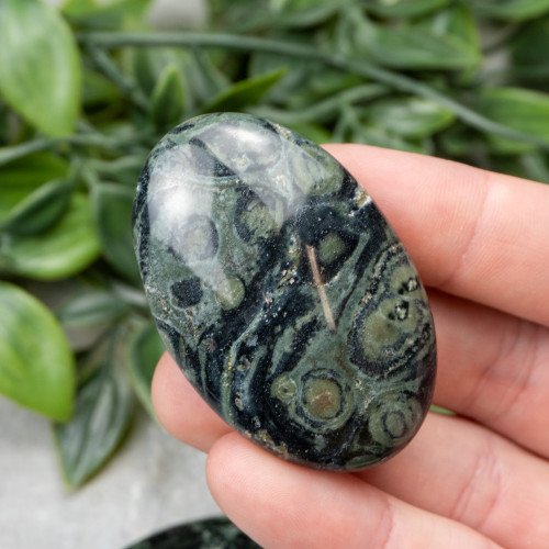 Kambaba Jasper Palmstone