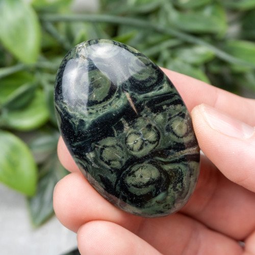 Kambaba Jasper Palmstone
