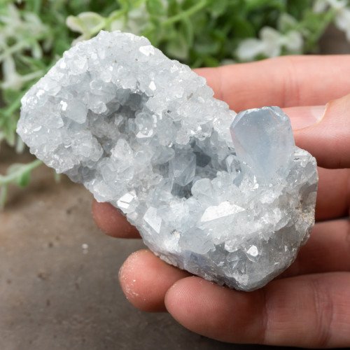 Celestite #2