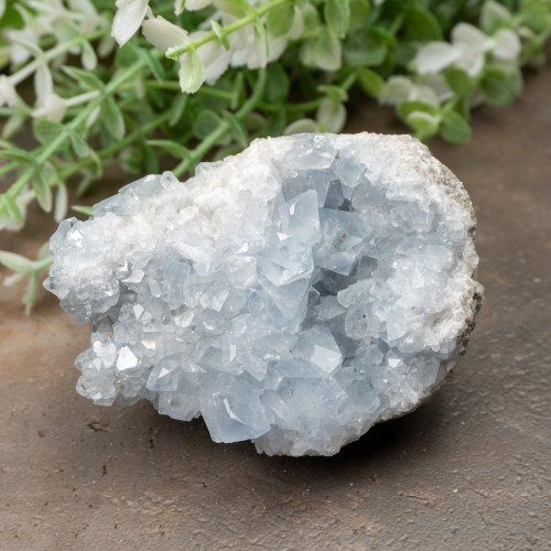 Celestite #1