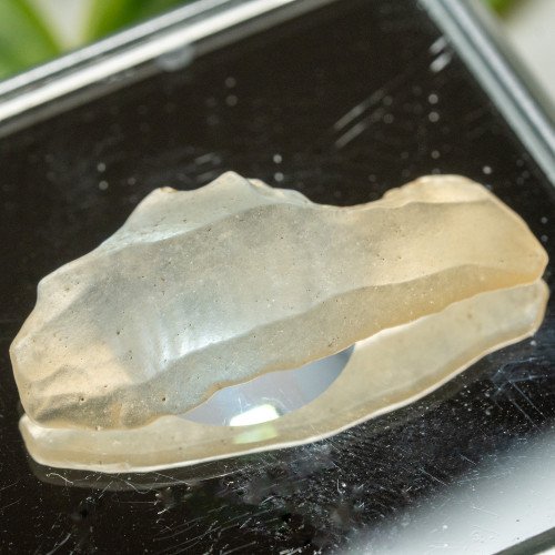 Libyan Desert Glass #6