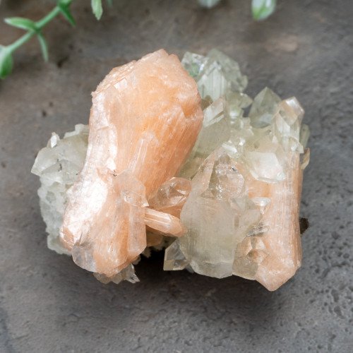 Apophyllite with Stilbite #2