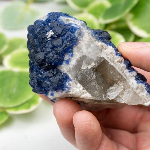 Mongolian Blueberry Fluorite #3