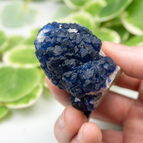 Mongolian Blueberry Fluorite #3